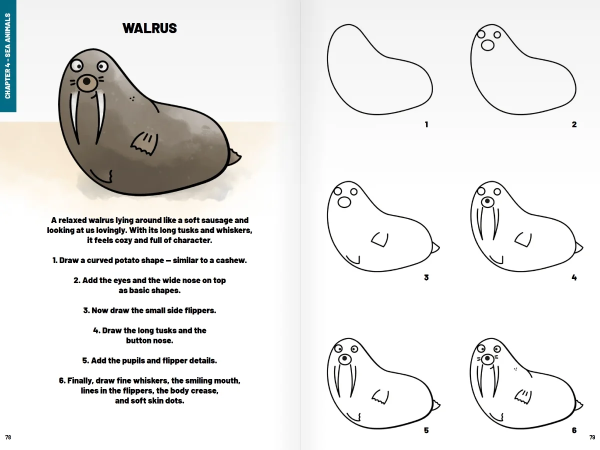 Inside the book: six steps for drawing a walrus